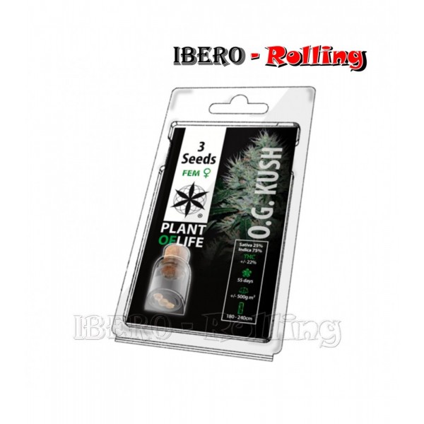 semillas plant of life og kush 3